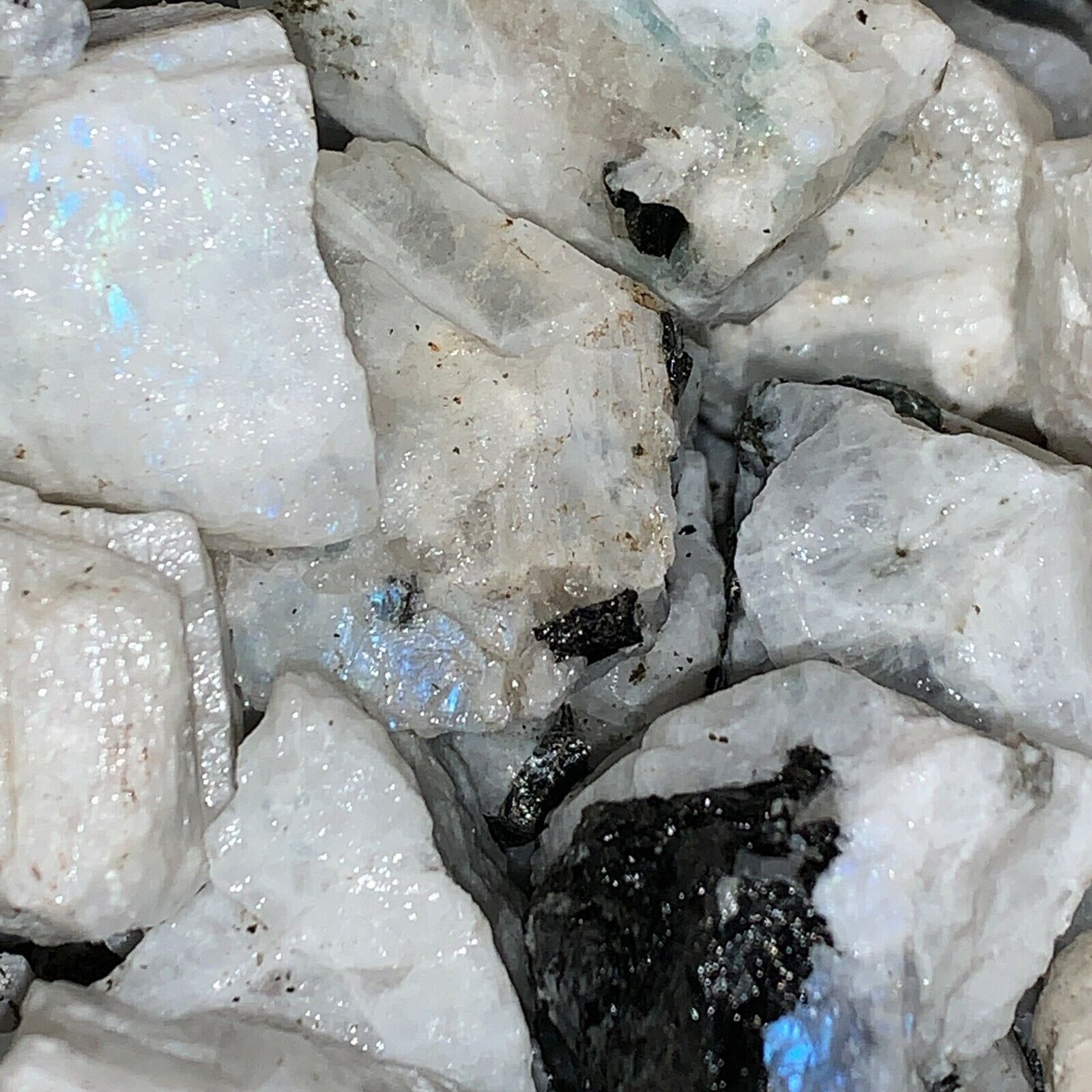2000 Carat Lots of Natural Rainbow Moonstone Rough + a Nice FREE faceted Gems