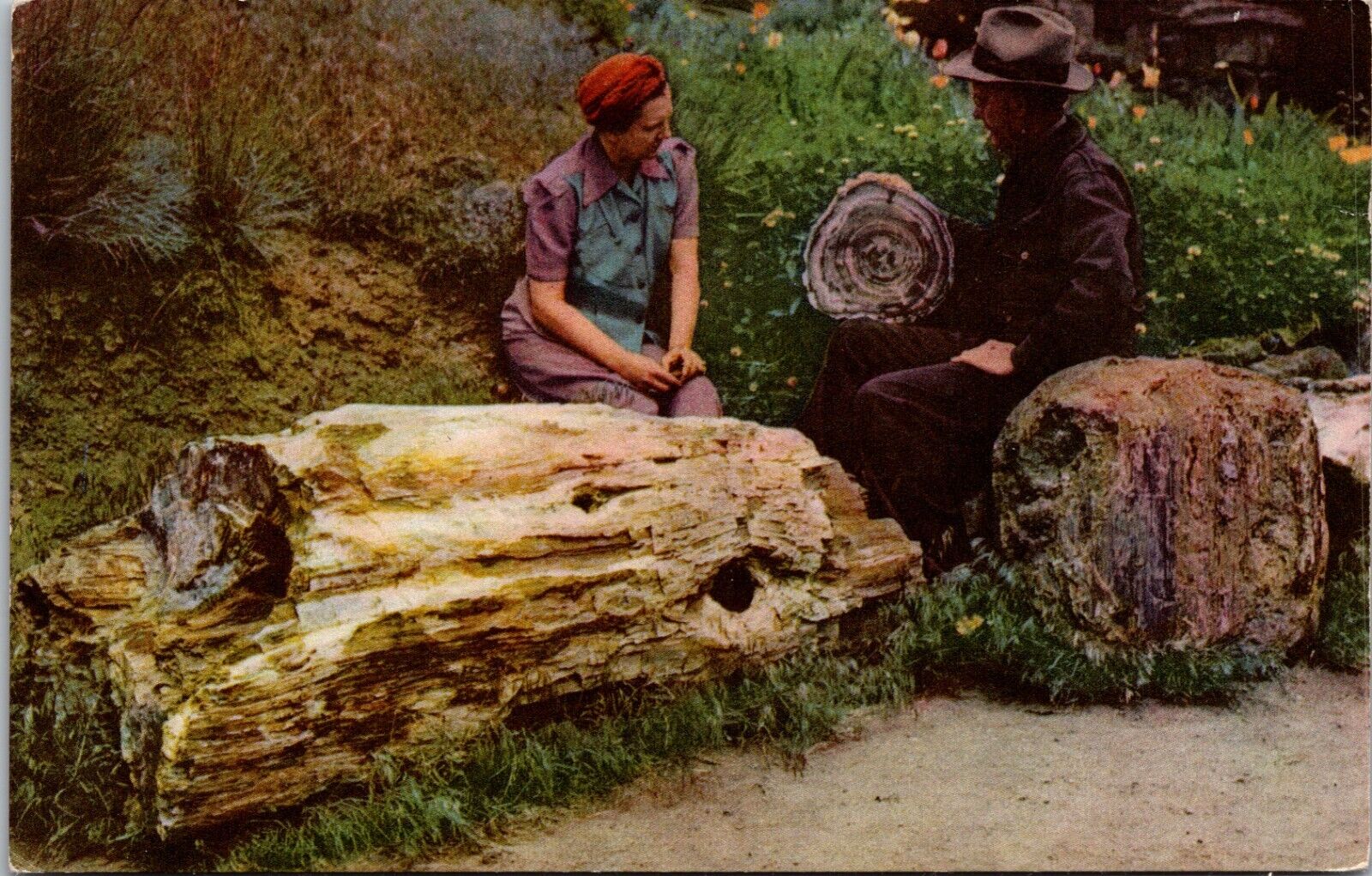Vantage Washington WA Ginkgo Petrified Forest Man Woman Petrified Logs Postcard