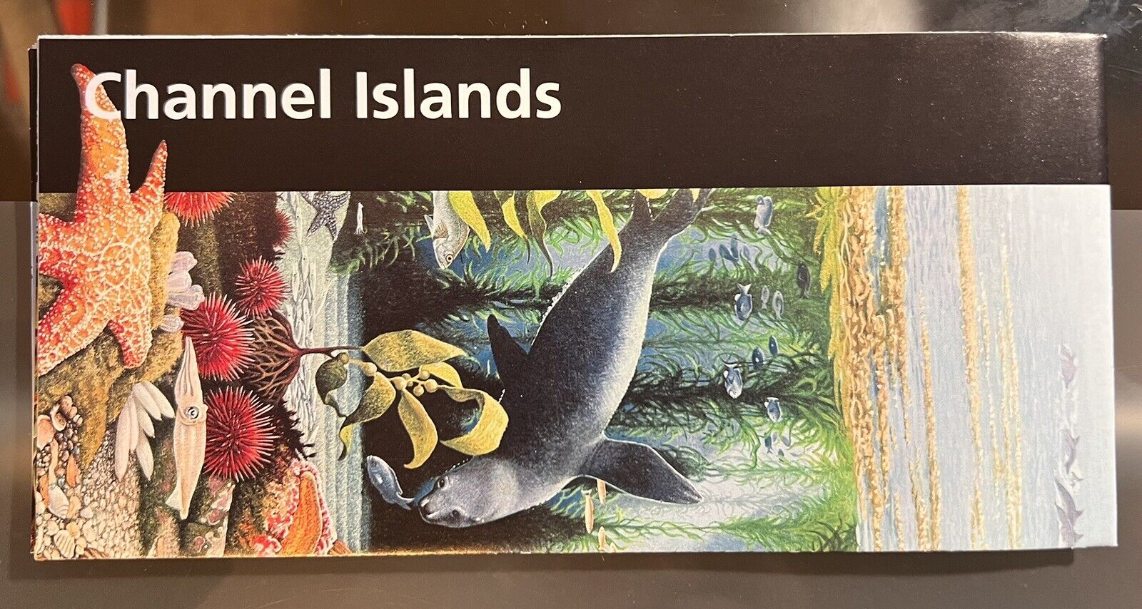 Channel Islands  NPS  National Park Brochure Map