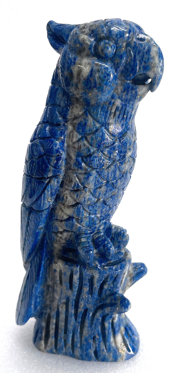 5.9\'\' Natural Lapis Lazuli Carved Crystal Parrot Skull Sculpture,Home Decoration