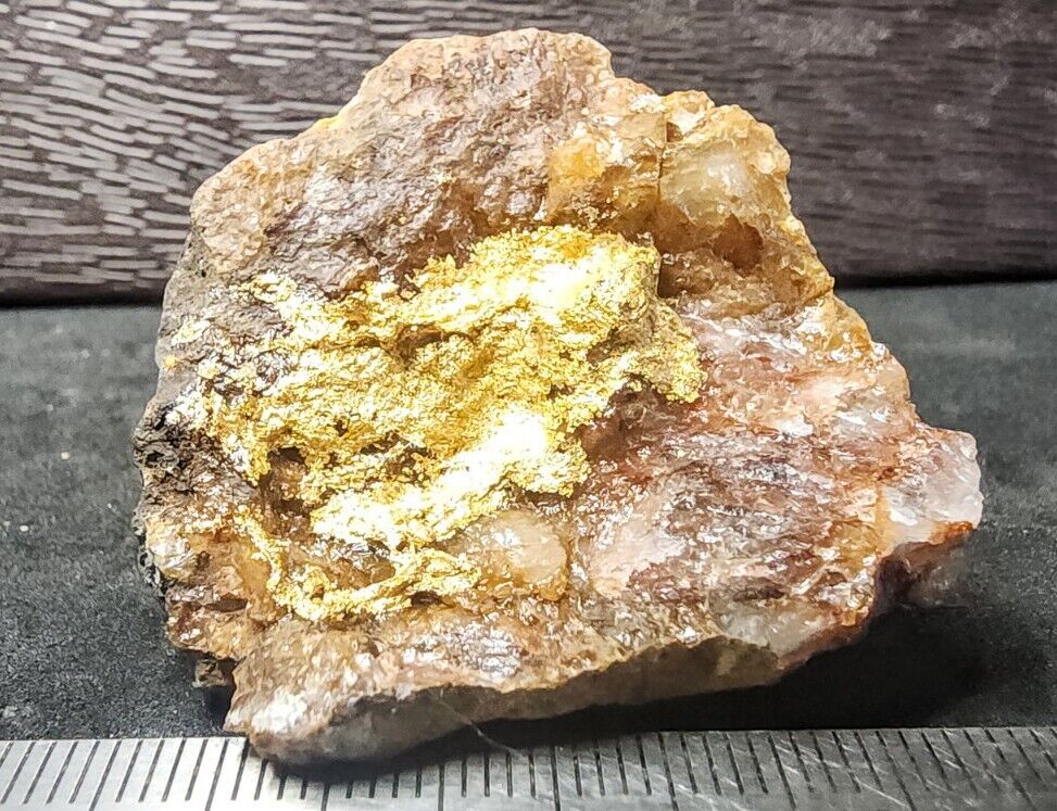 Gold Ore Specimen 36.3g Crystalline Gold From Ontario - 2510 Exceptional