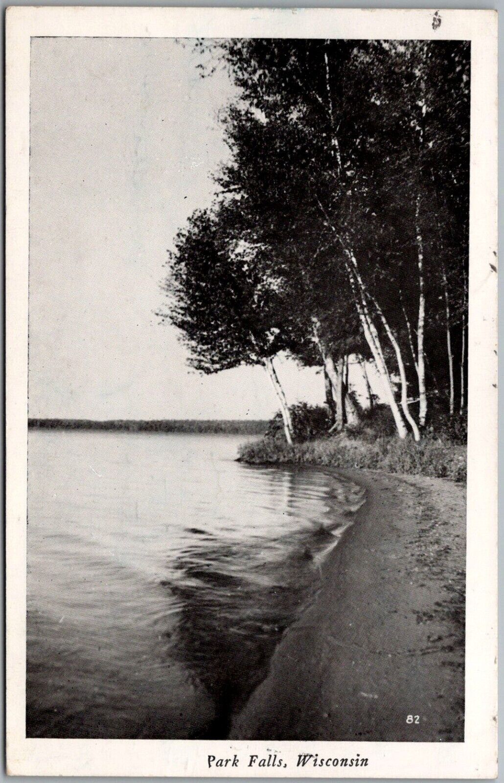 Postcard Lakeside Birch Trees; Park Falls, Wisconsin RPPC 1949 Gs