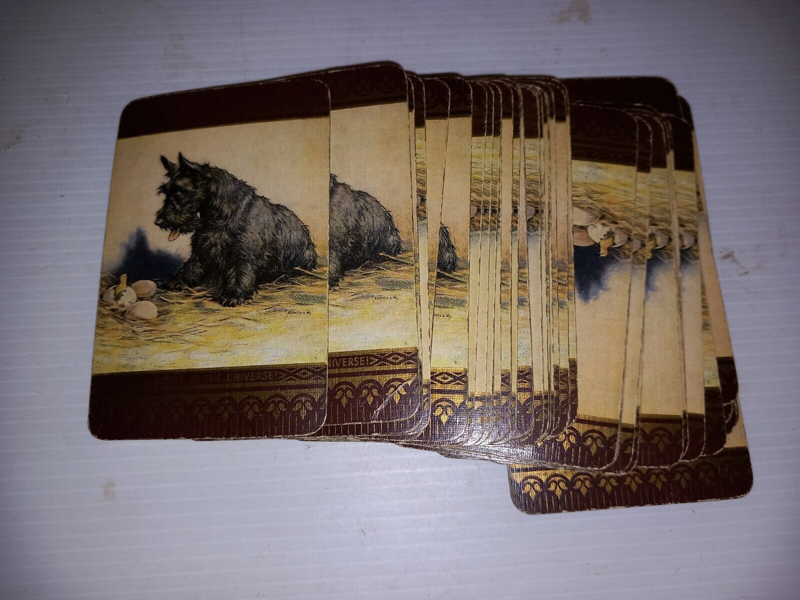 Vintage Goodall  Gilded Playing Cards Dogs, Scottie  Scottish Terrier