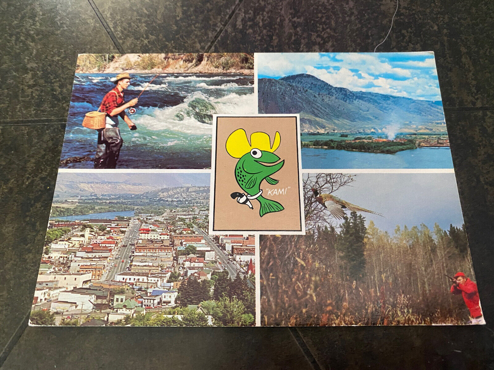 Kamloops British Columbia Canada Postcard