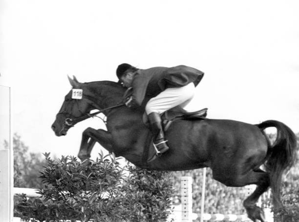 German equestrian Magnus von Buchwaldt wins Grand Prix Aachen - 1958 Old Photo