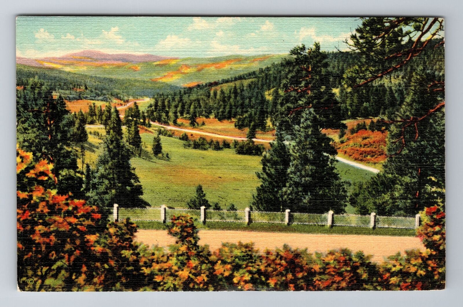 Taos NM-New Mexico, Taos Canyon From Palo Flechado Pass, Vintage c1941 Postcard