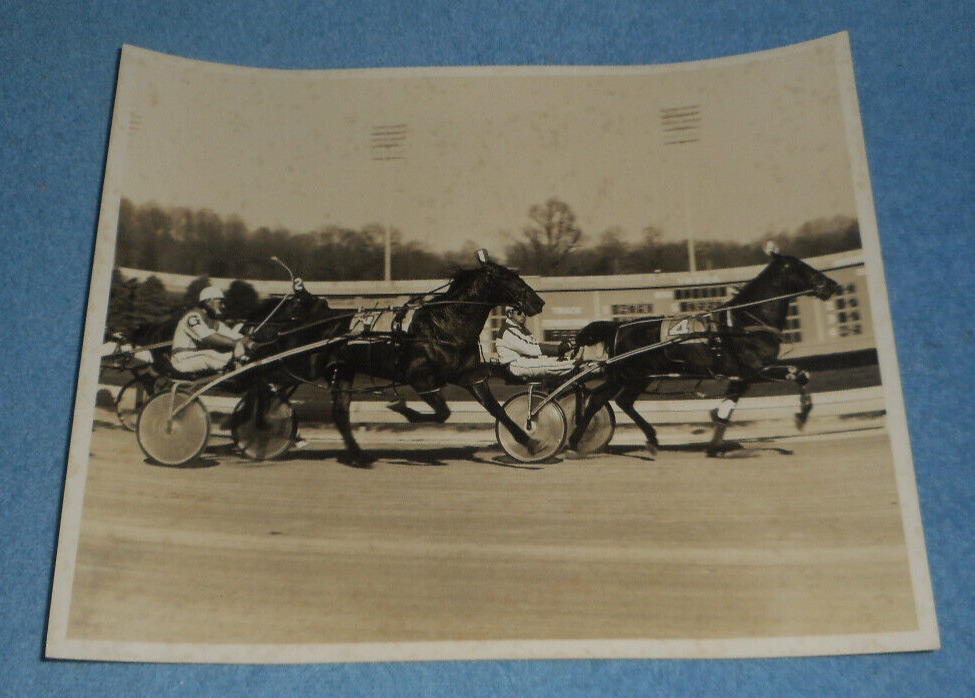 1970s Harness Racing Press Photo Horse Committeeman Liberty Bell Park Racetrack