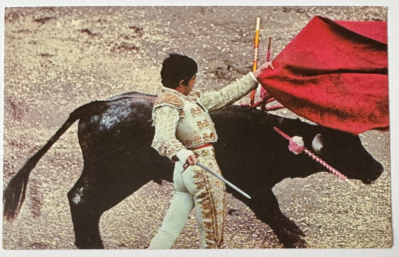 Vintage Postcard Bullfight Bull Matador Colorful Old Laredo Texas Card
