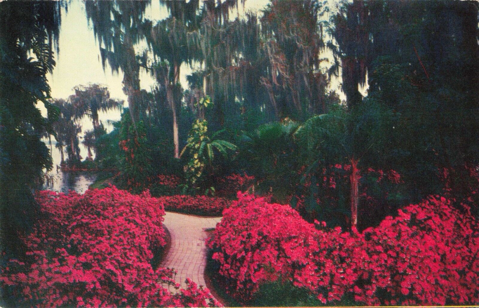Cypress Gardens Florida, Garden Trails with Flowers, Vintage Postcard