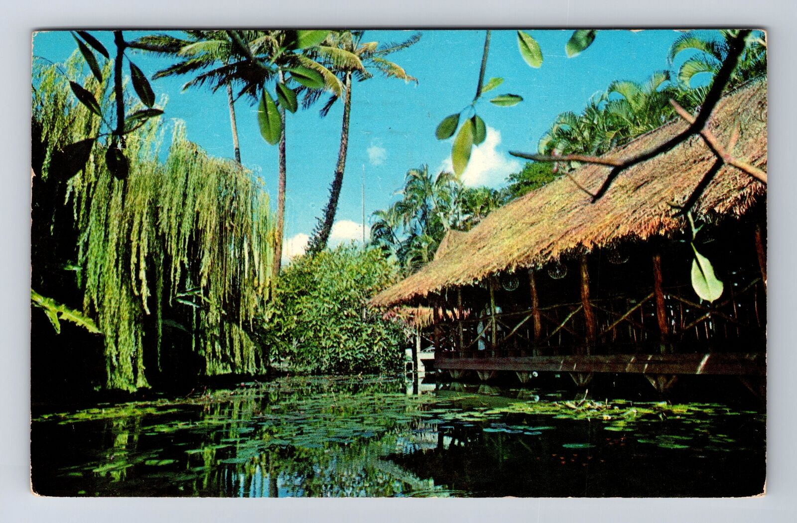 Honolulu HI-Hawaii, The Willows Restaurant Advertising, Antique Vintage Postcard