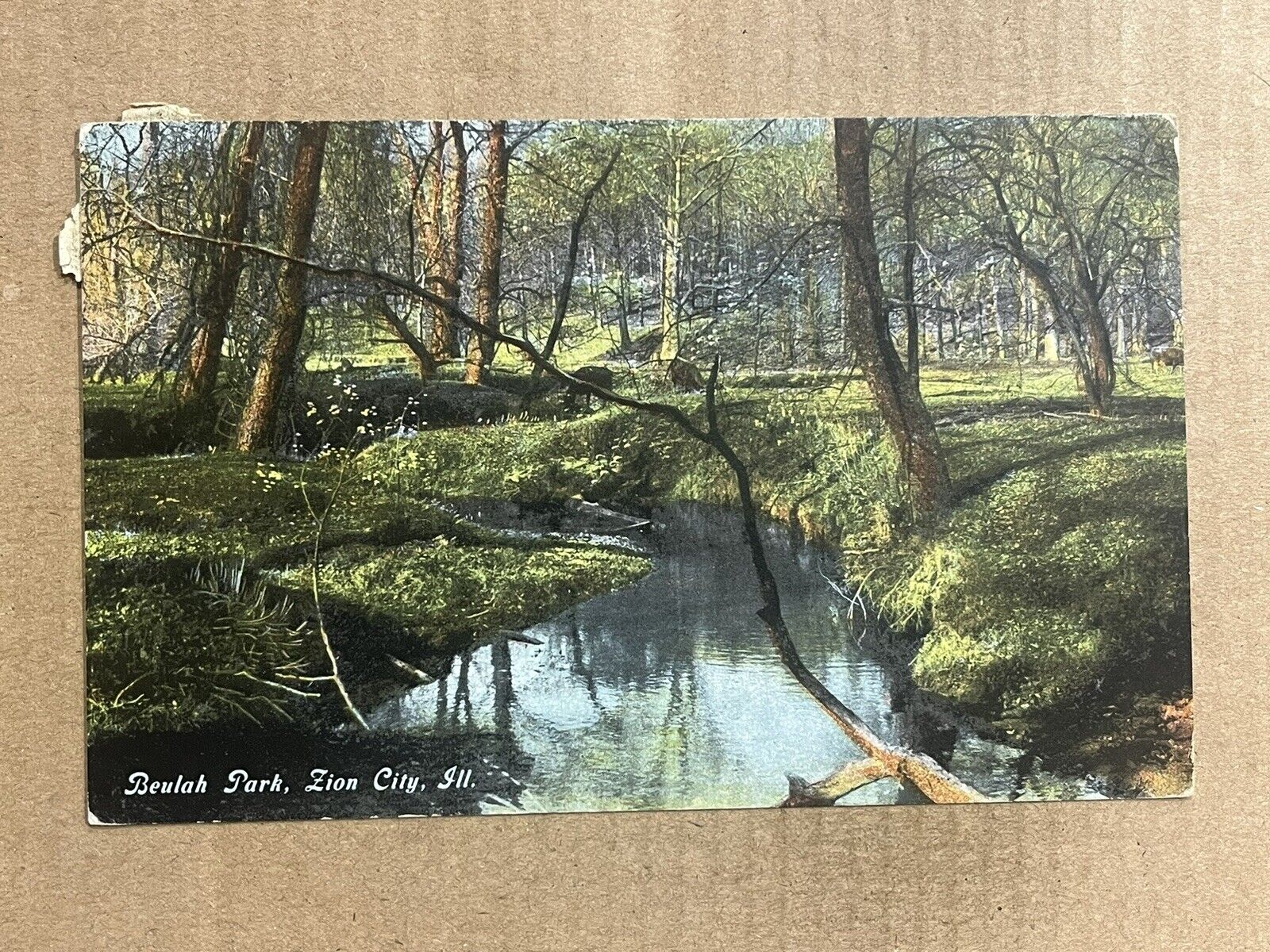 Postcard Zion City IL Illinois Beulah Park Scenic Creek River Vintage PC