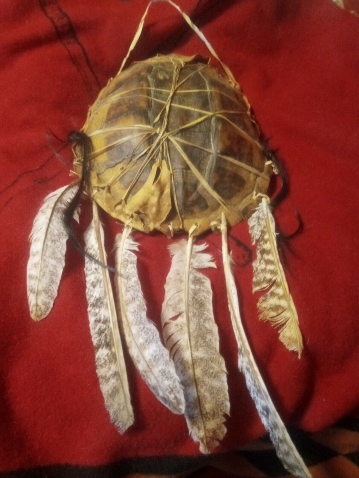 ** RARE OLD NATIVE AMERICAN LOUISIANA TURTLE SHELL DRUM COMMON SNAPPING TURTLE*