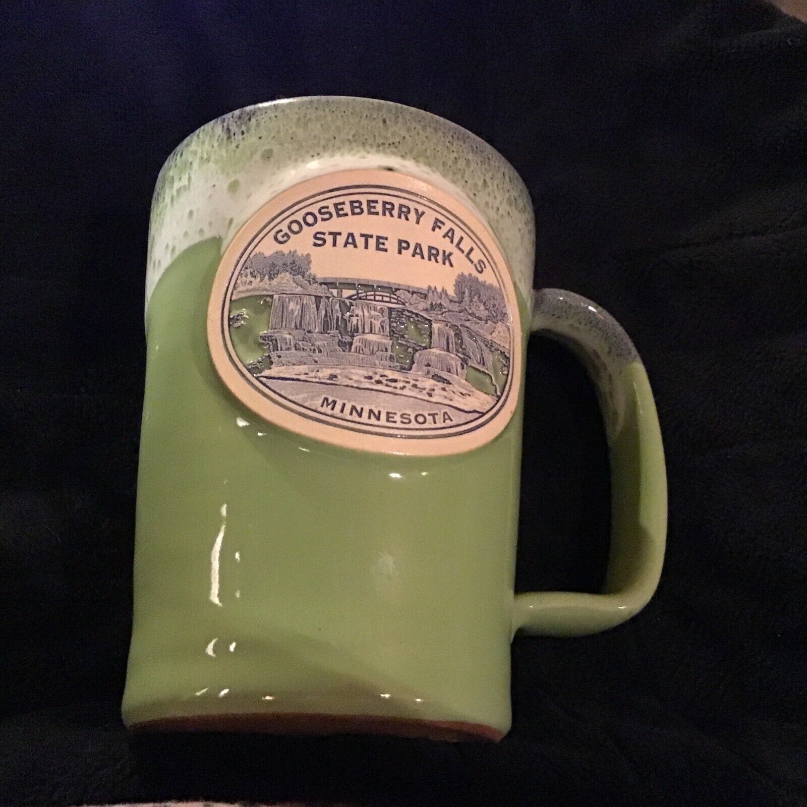 Gooseberry Falls State Park Souvenir Coffee Mug Pottery Minnesota