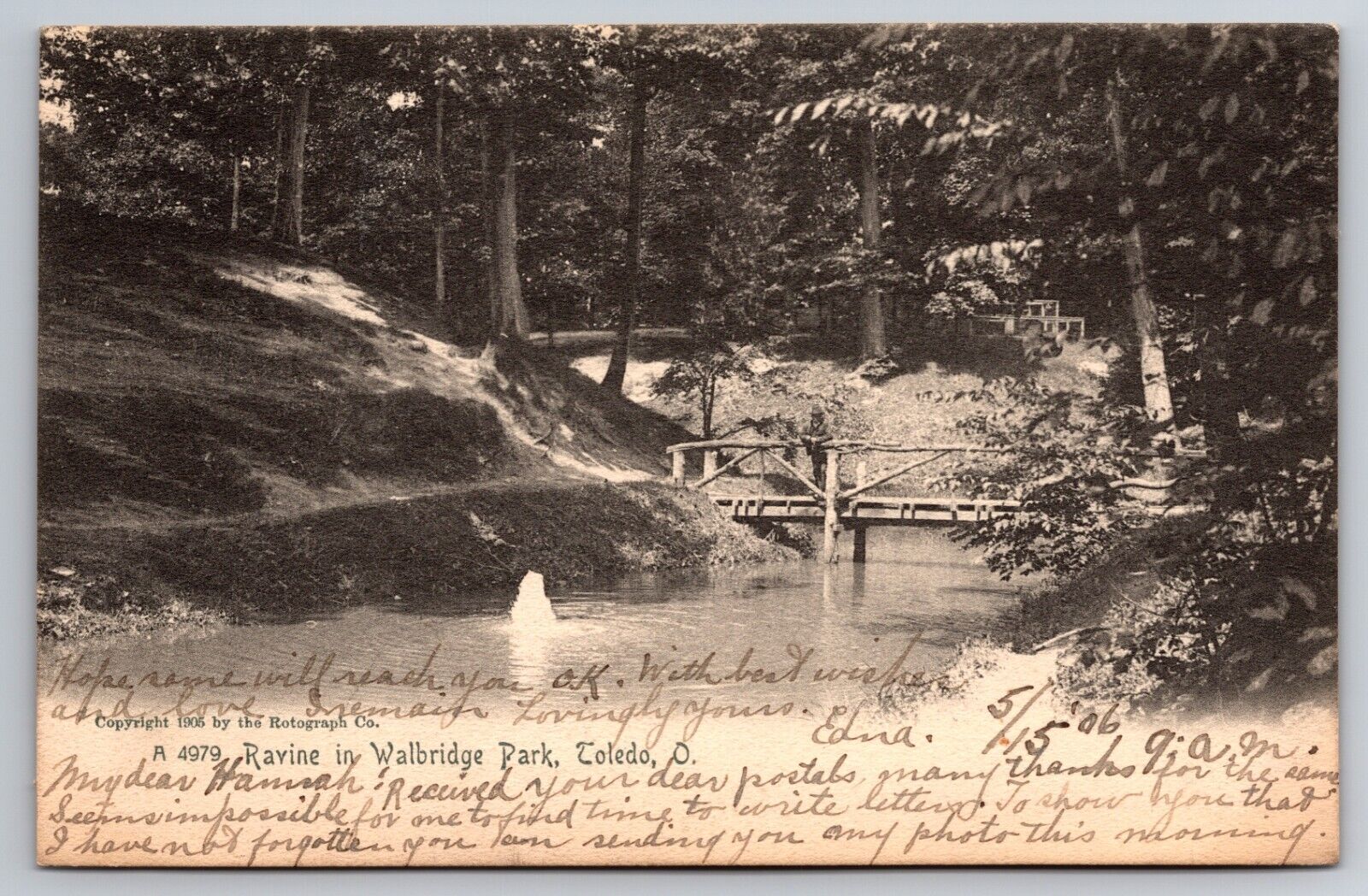 Ravine in Walbridge Park Toledo Ohio OH 1906 Postcard