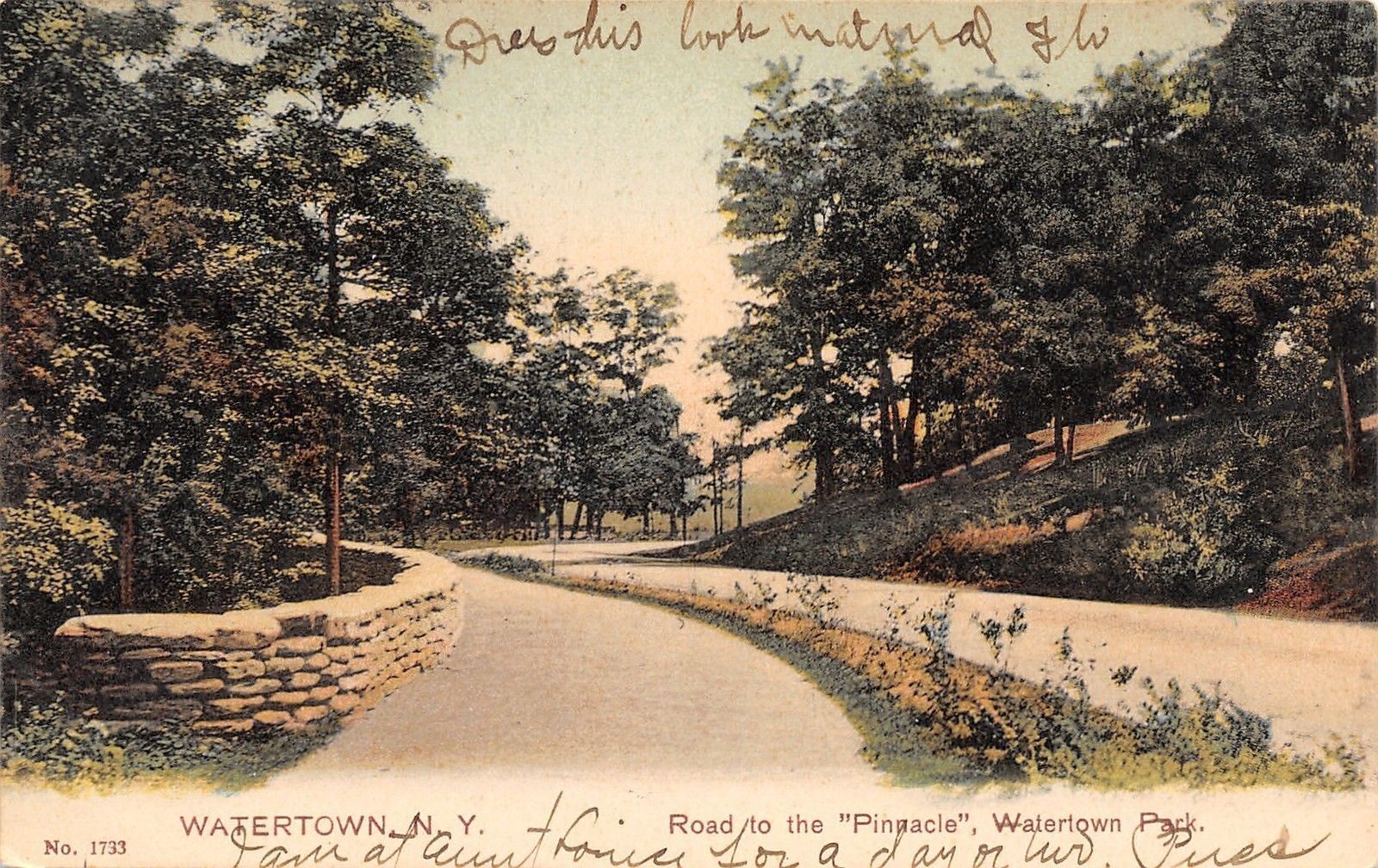 Watertown New York~Watertown Park~Road to the Pinnacle~1906 PCK Postcard