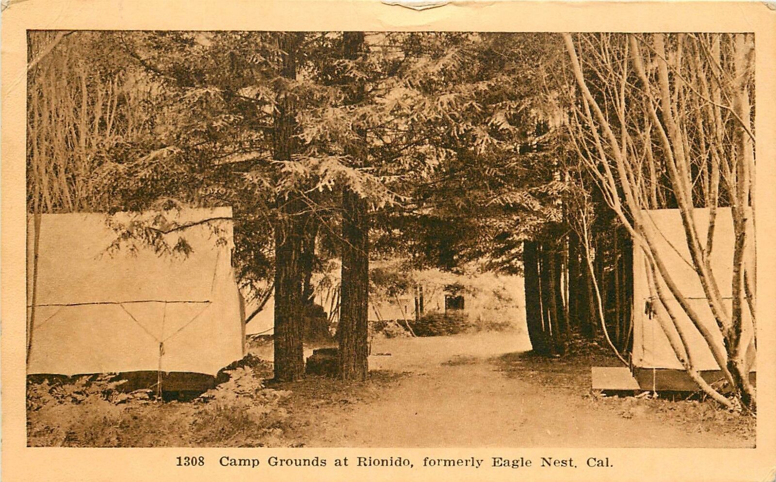 c1910 Printed Postcard Tent Camp Grounds at Rionido formerly EagleNest CA posted