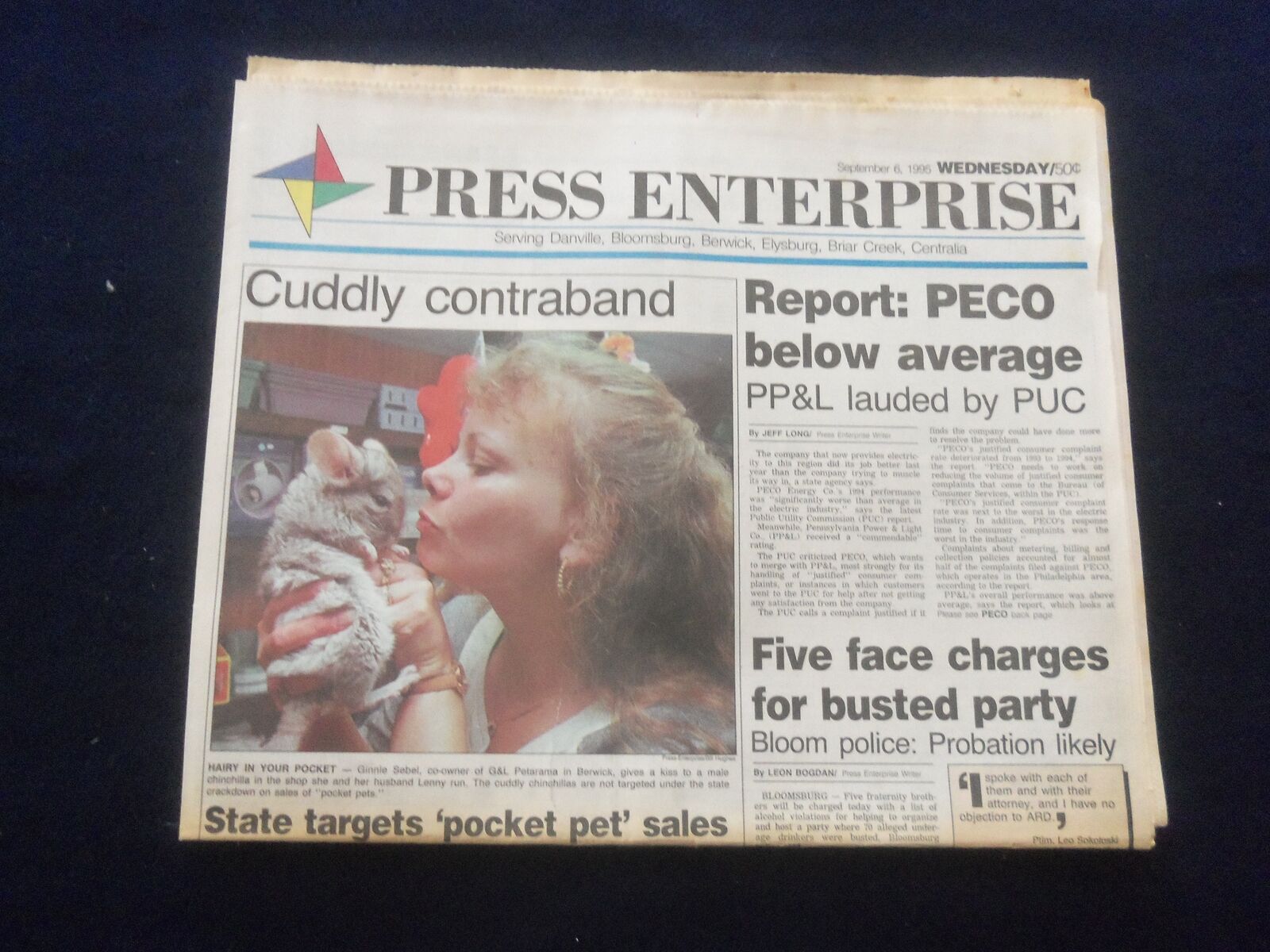 1995 SEP 6 PRESS ENTERPRISE NEWSPAPER - BLOOMSBURG, PA -PECO BELOW AVG- NP 6128