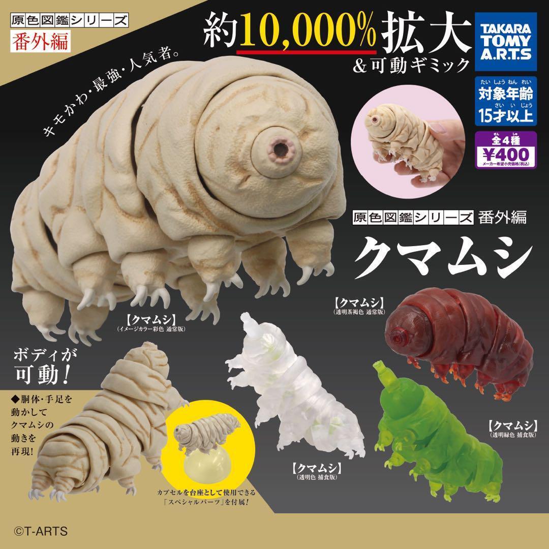 Primary Color Picture Book Series Tardigrade All 4 types Complete Gashapon 