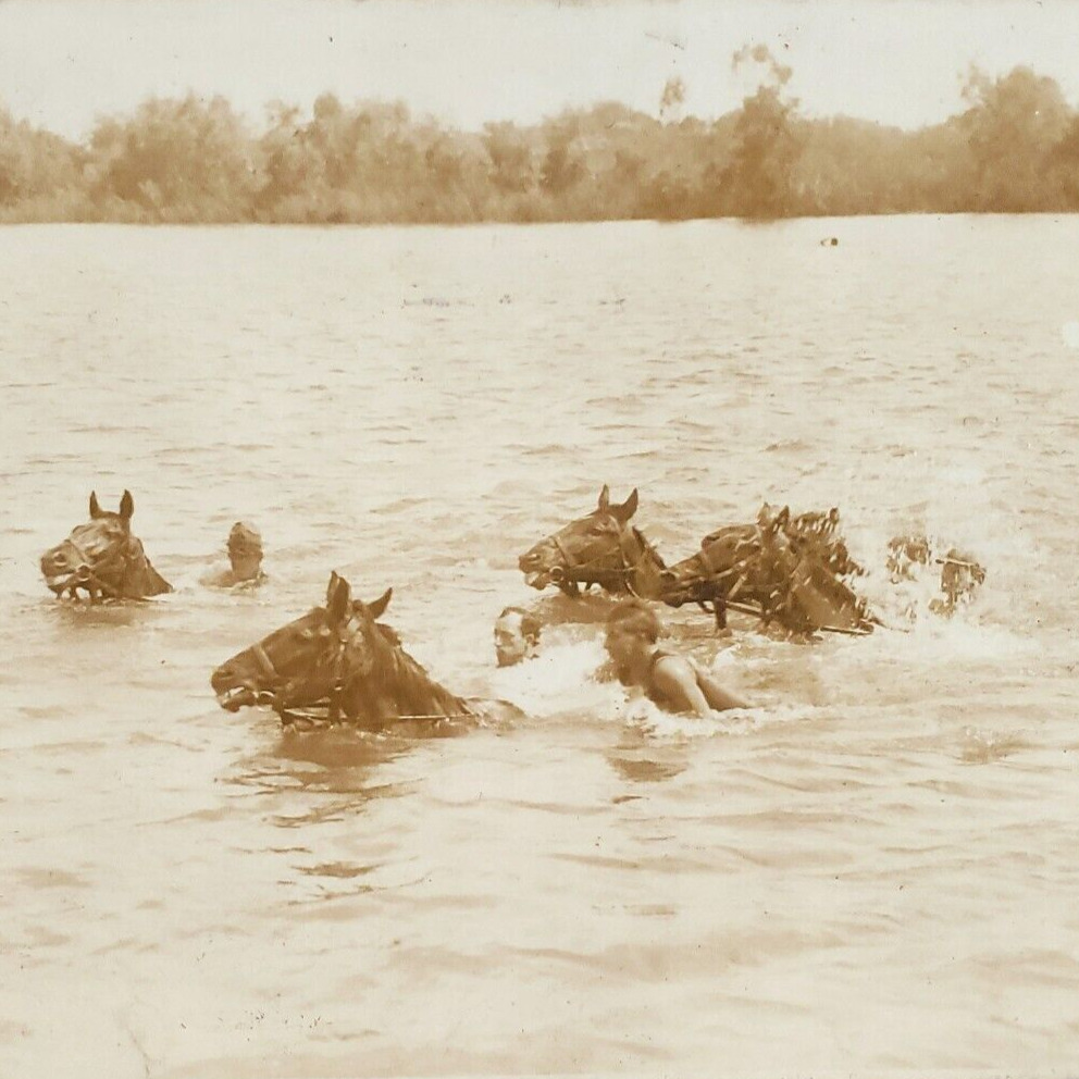 Wisconsin Horses Crossing River RPPC Postcard c1910 Men Swimming Real Photo B987