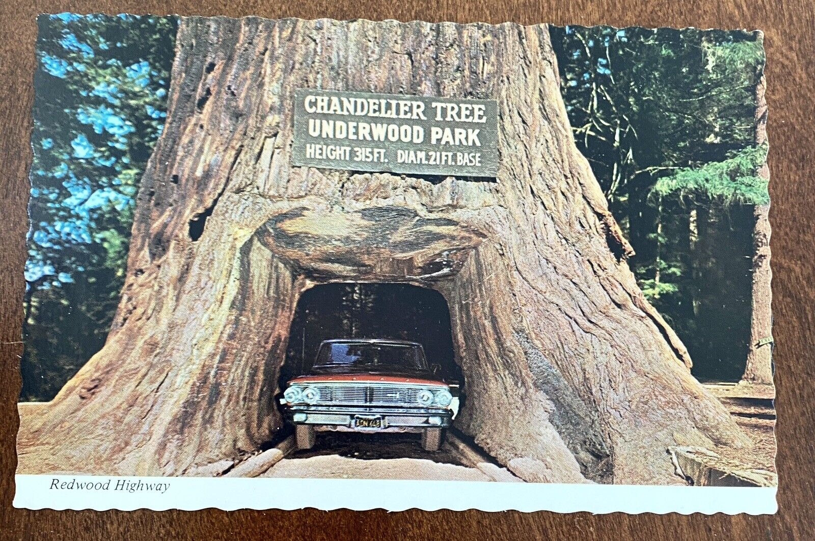 Vintage Postcard GIANT DRIVE-THRU REDWOOD w/CAR, Chandelier Tree,California, UNP