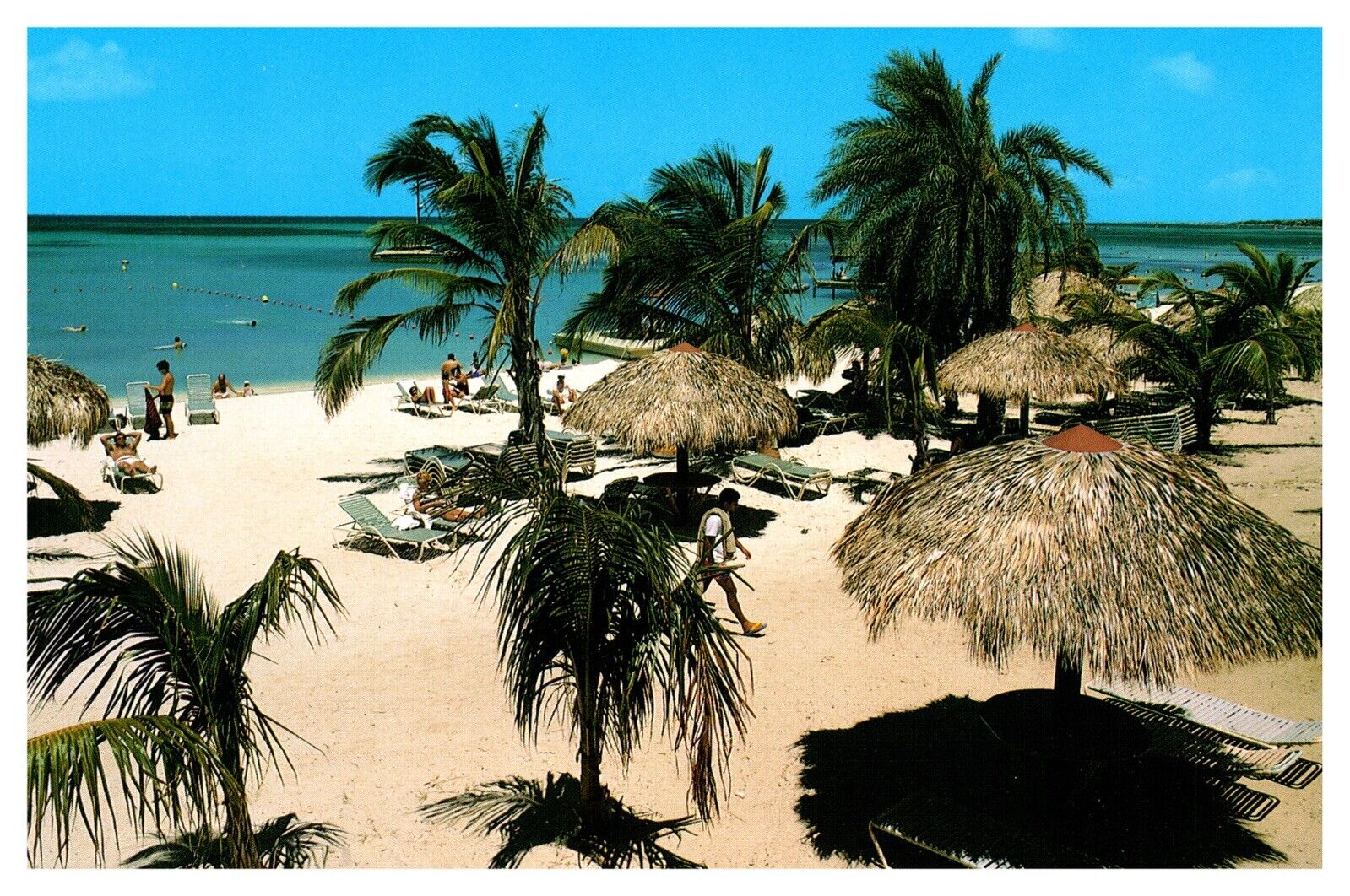 Aruba Typical Arubian Beach Scene Sandy Beach Chrome Postcard Unposted