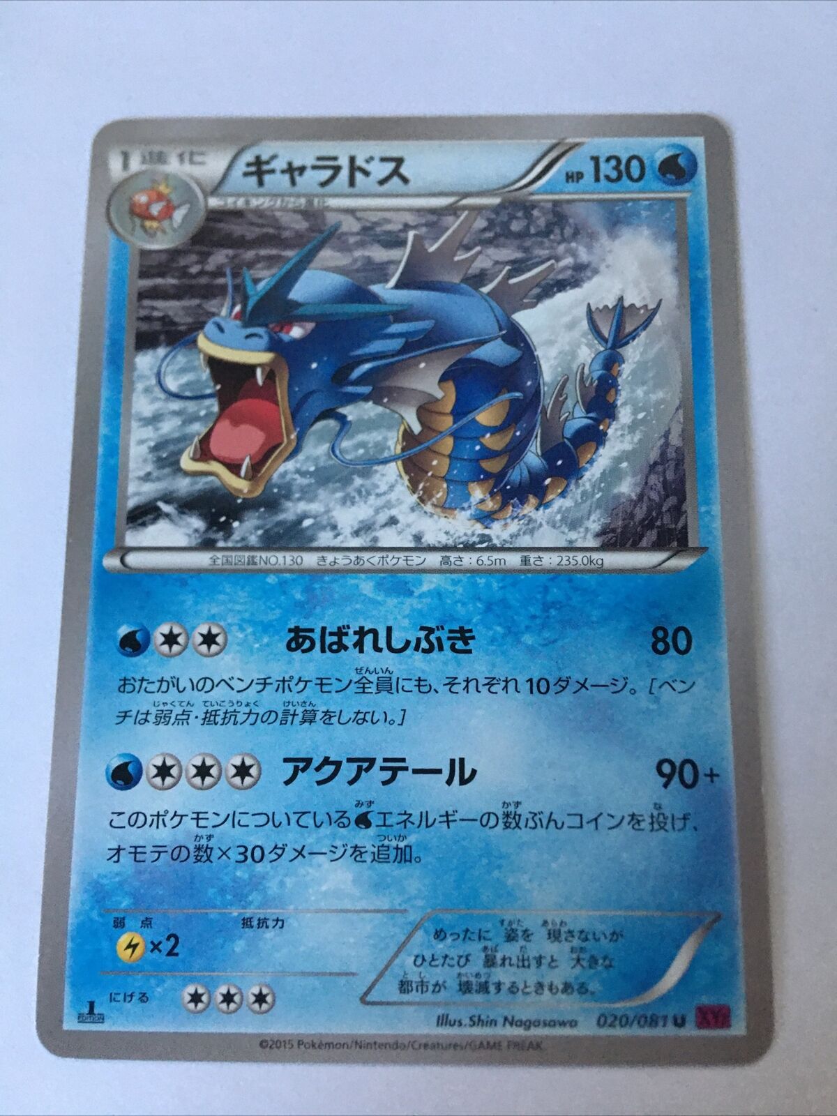 Pokemon Card / Gyarados Card 020/081 XY7 (Bandit Ring) 1ED