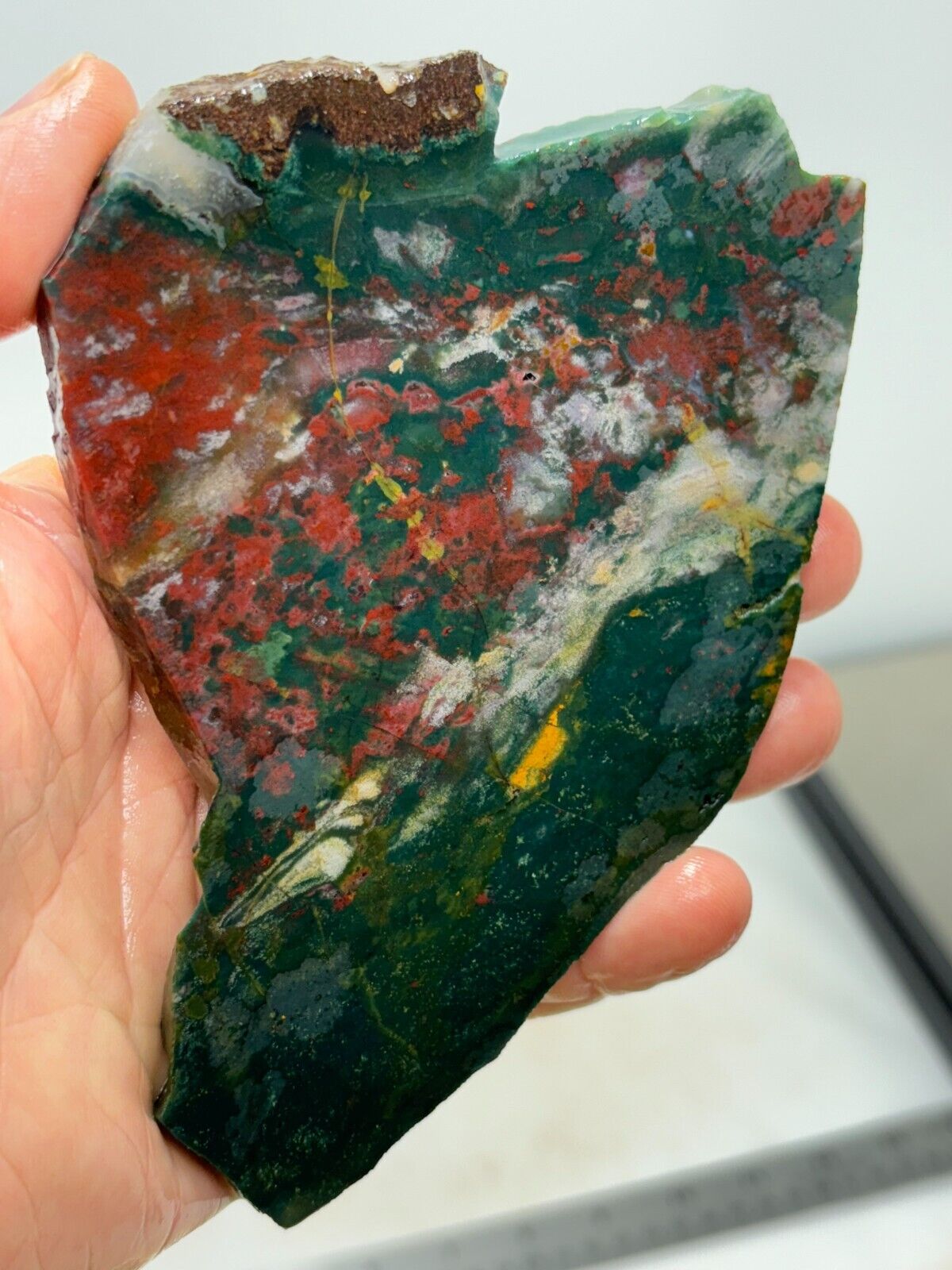 Bloodstone Jasper slab Cabbing Lapidary Collecting Combo Ship Avail
