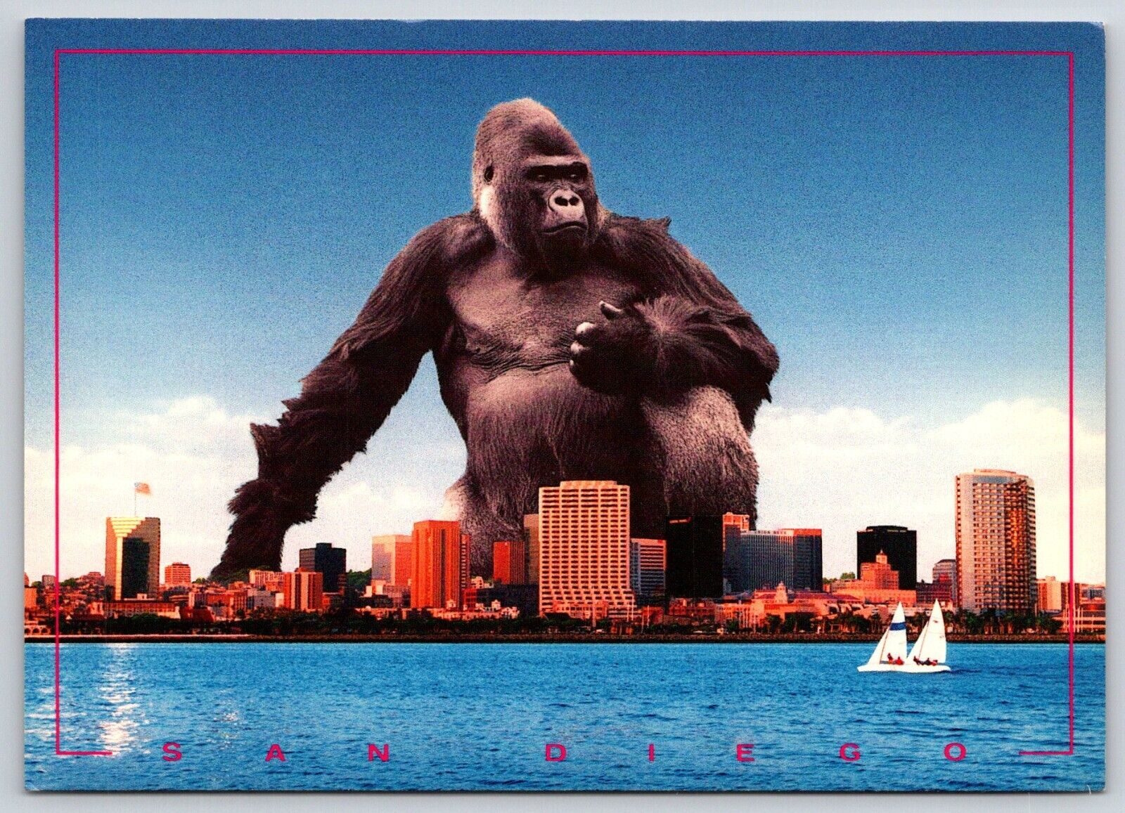 Postcard CA San Diego Oversize Gorilla 