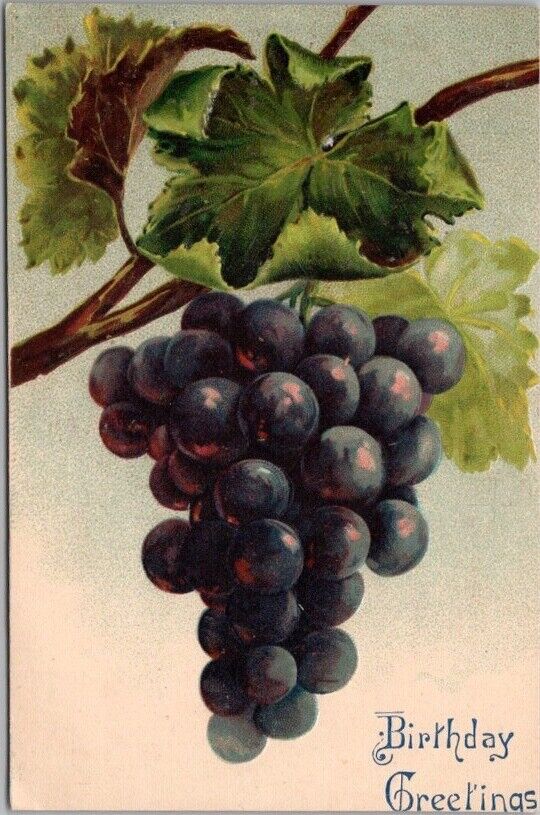 Vintage 1910s HAPPY BIRTHDAY Embossed Greetings Postcard Bunch of GRAPES on Vine