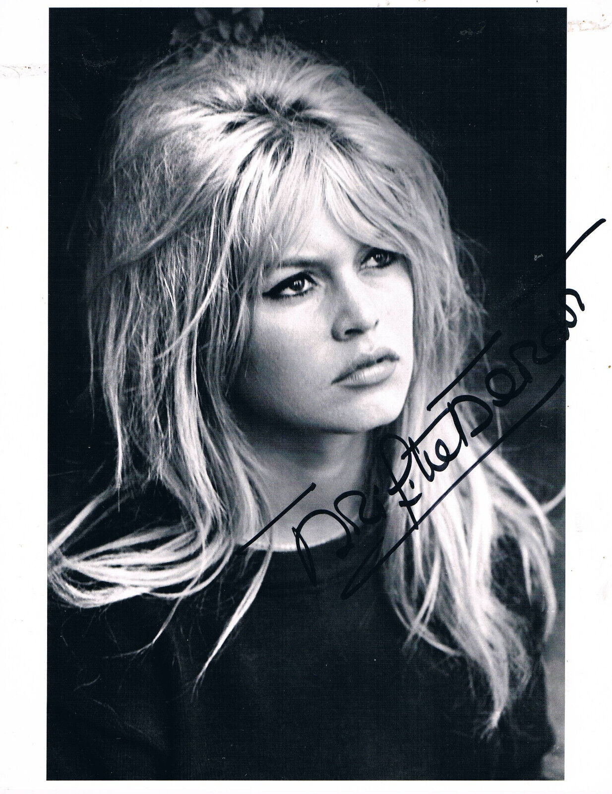 Brigitte Bardot 1934- autograph signed portrait photo 8\