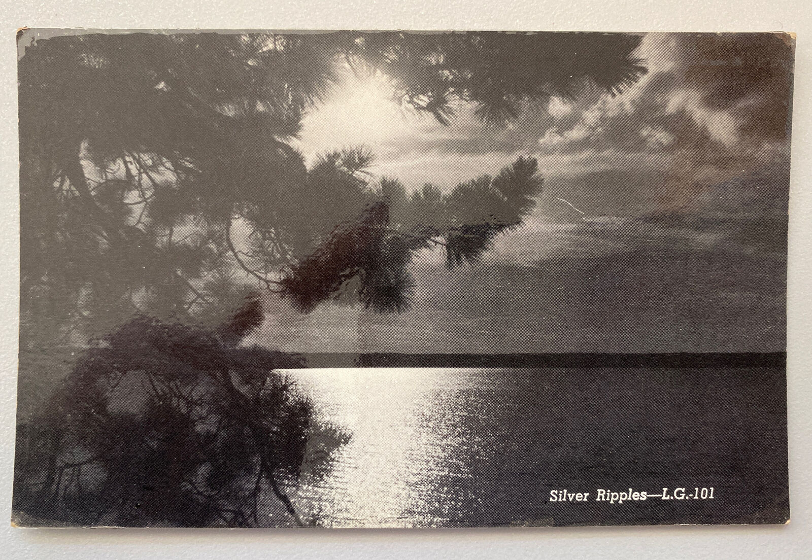 Silver Ripples Greetings from Bergland MI Postcard PC174