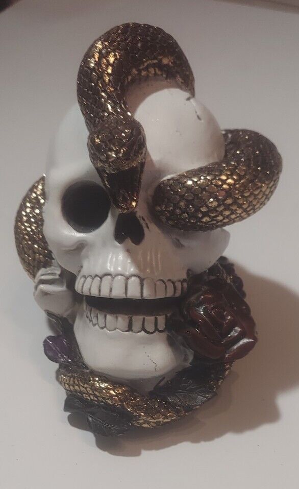 Skull With Snake Decoration