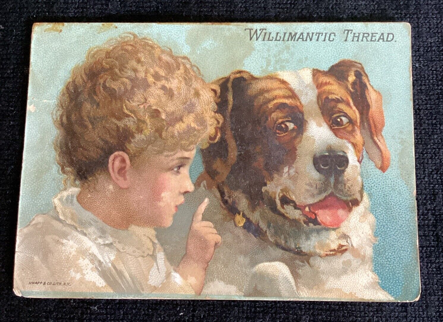 Vintage Victorian trade card Willimantic thread little girl & Saint Bernard Dog