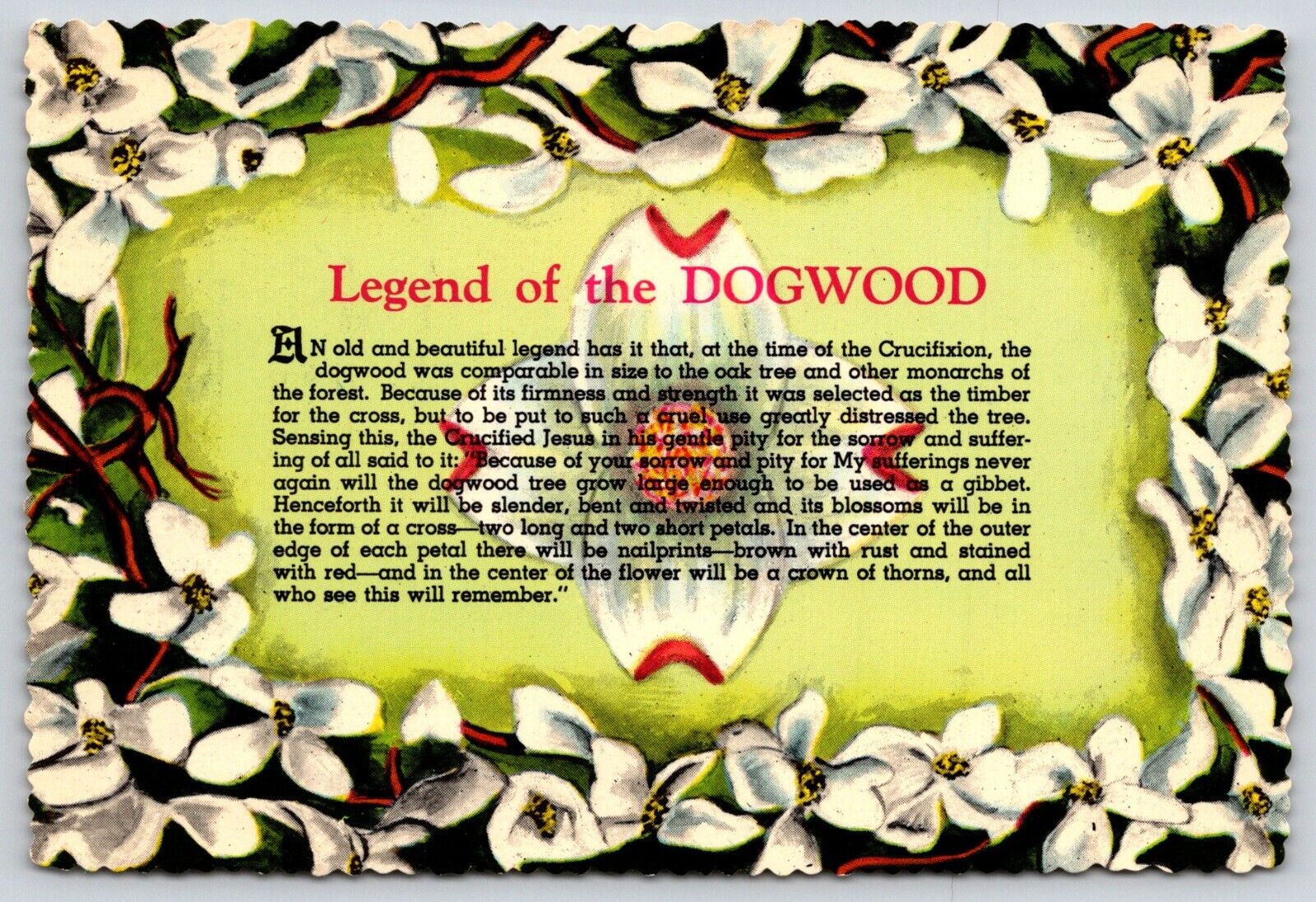 Postcard Legend Of The Dogwood Saying