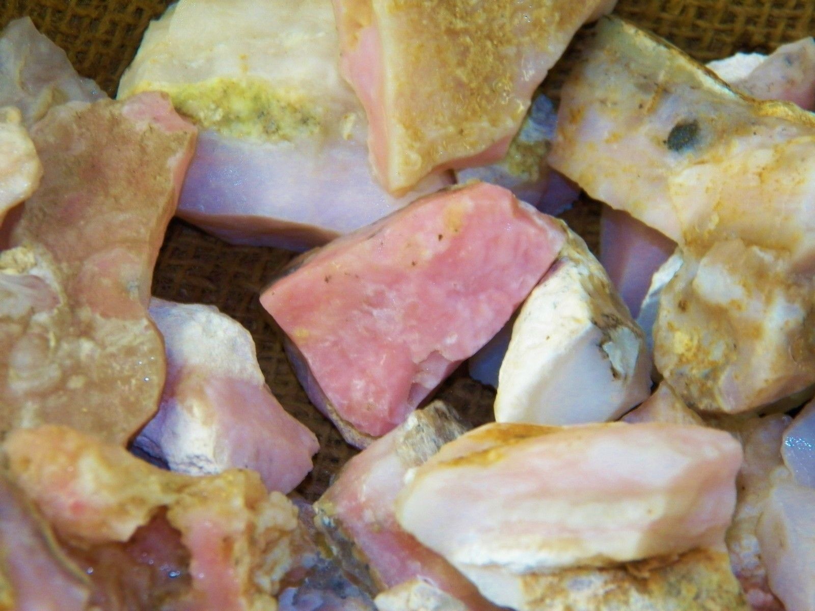 1000 Carat Lots of Very High End Pink Opal Rough - Plus a FREE Faceted Gemstone