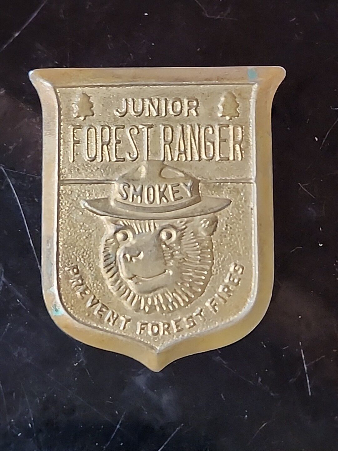 Obsolete Junior Forest Ranger/Smokey/Prevent Forest Fires Pinback Badge