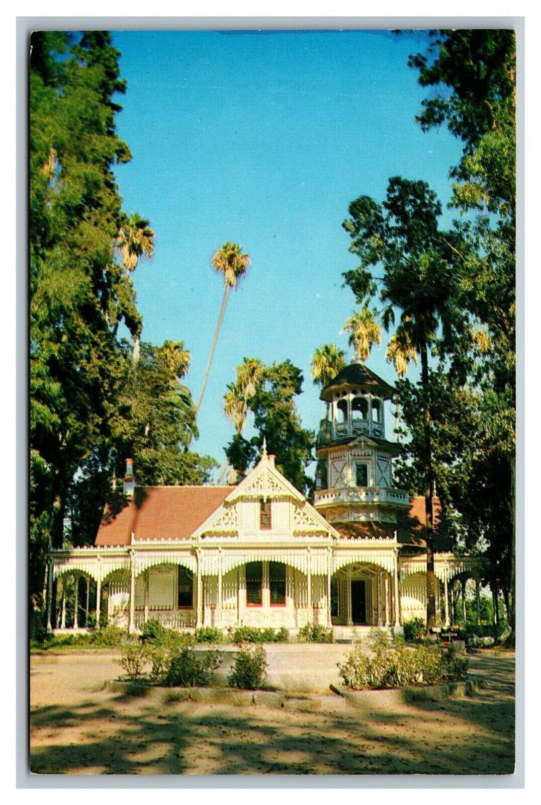 Los Angeles, CA California, State & County Arboretum, Arcadia, CA, Postcard 