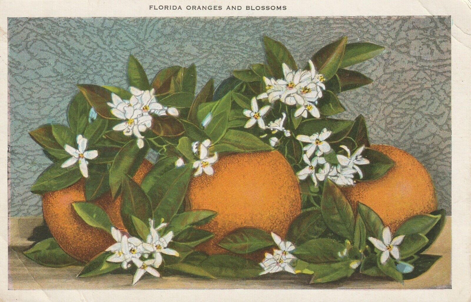 C1933 Postmark Hollywood Florida, Oranges and Blossoms a 385
