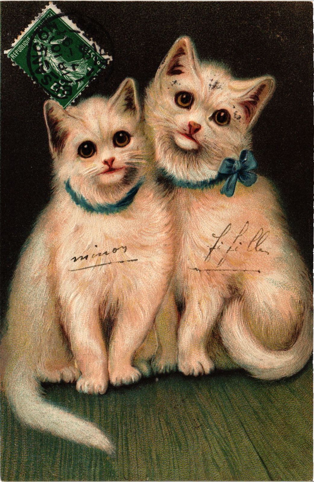 PC CPA CAT, TWO WHITE KITTY CATS SITTING, VINTAGE EMBOSSED POSTCARD (b3861)