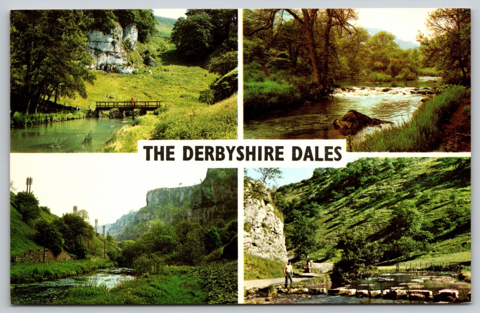 Derbyshire Dales - Beresford Dale/Miller's Dale/Chee Dale - England Postcard