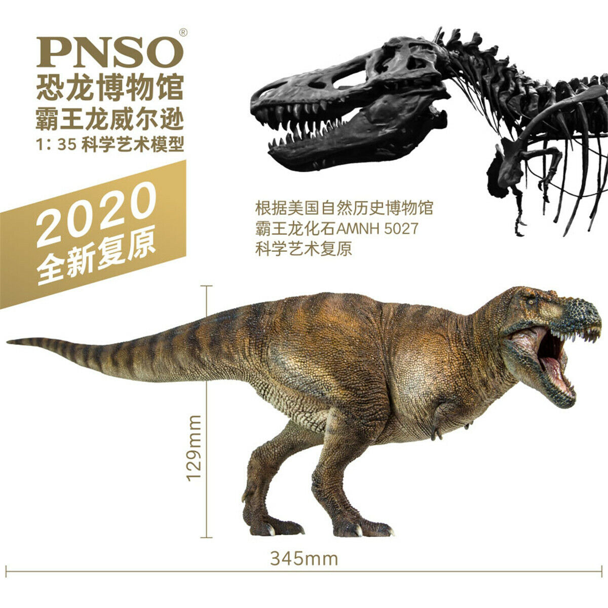PNSO 1:35 Tyrannosaurus Rex Wilson Model Dinosaur Museum Scientific Art GK Decor