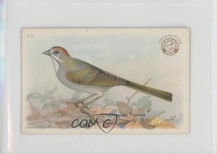 1922 Arm & Hammer Useful Birds of America Series 3 Green-tailed Towhee #23 0in6