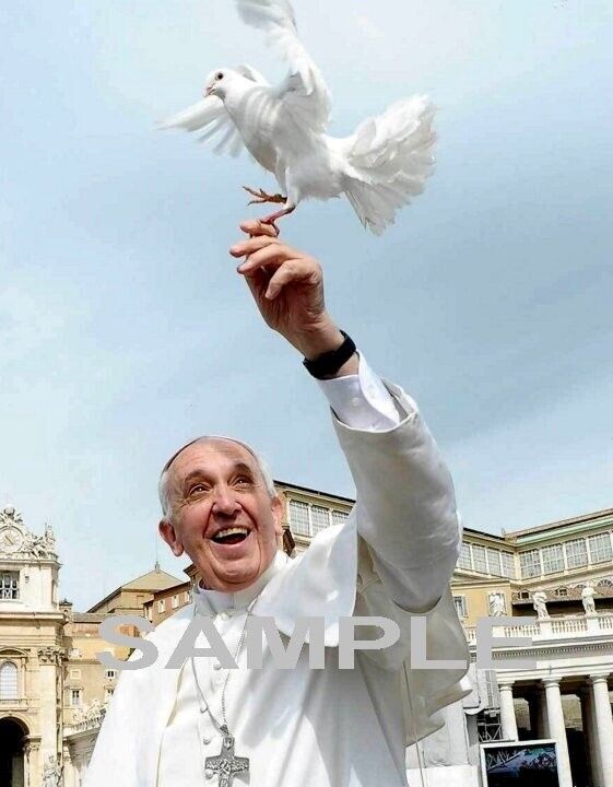 POPE FRANCIS Awesome Candid Photo - Vatican (142-s )