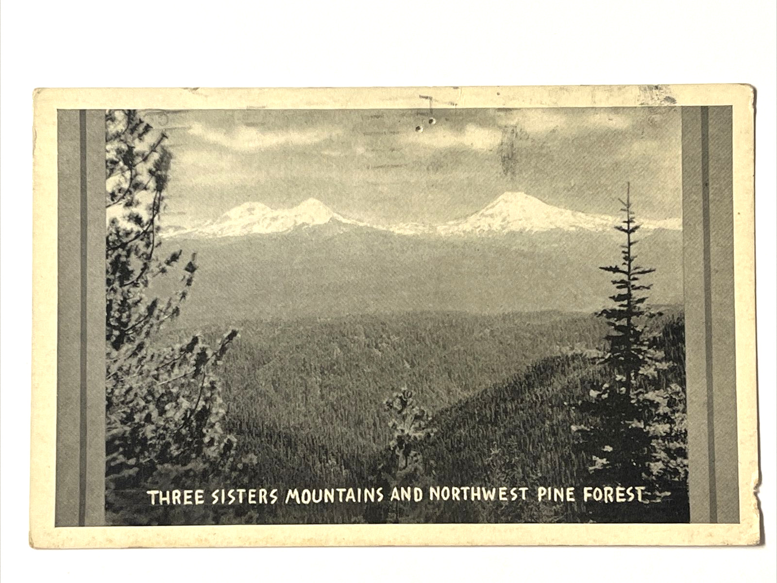 Three Sisters Mountains & Northwest Pine Forest~ Oregon Postcard~ Postmark 1943