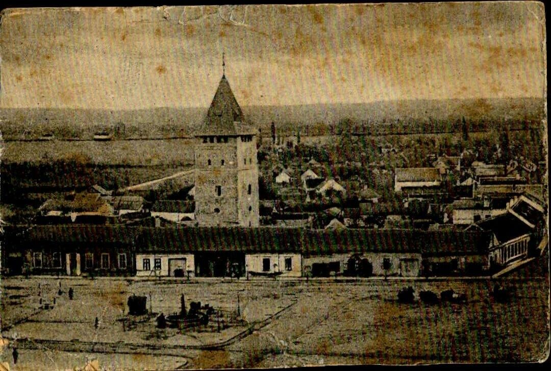 RMIV00071 romania bihor salonta reproduction general view from 1899 square