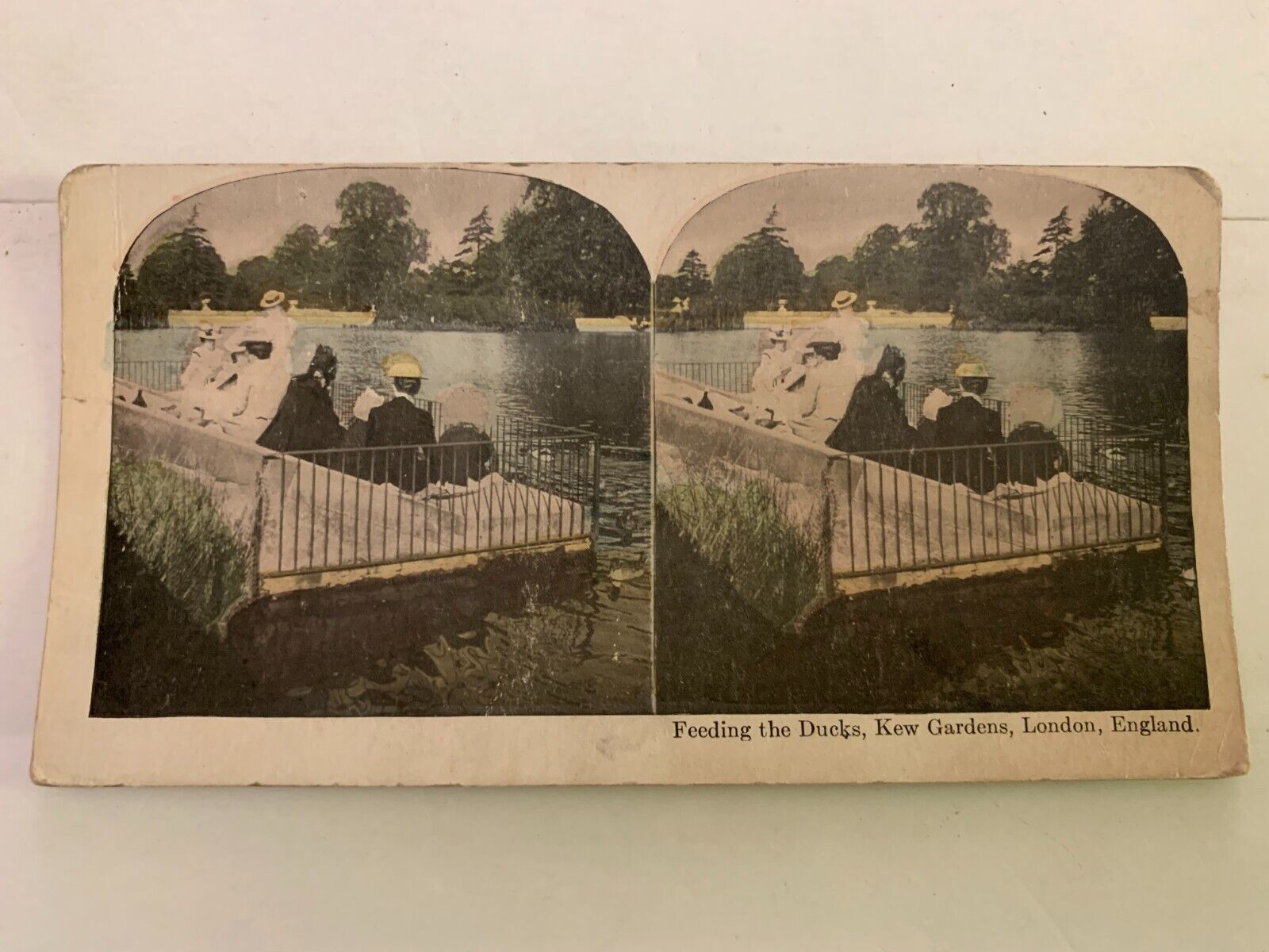 c.1900 Feeding The Ducks Kew Gardens London England Stereoview Card