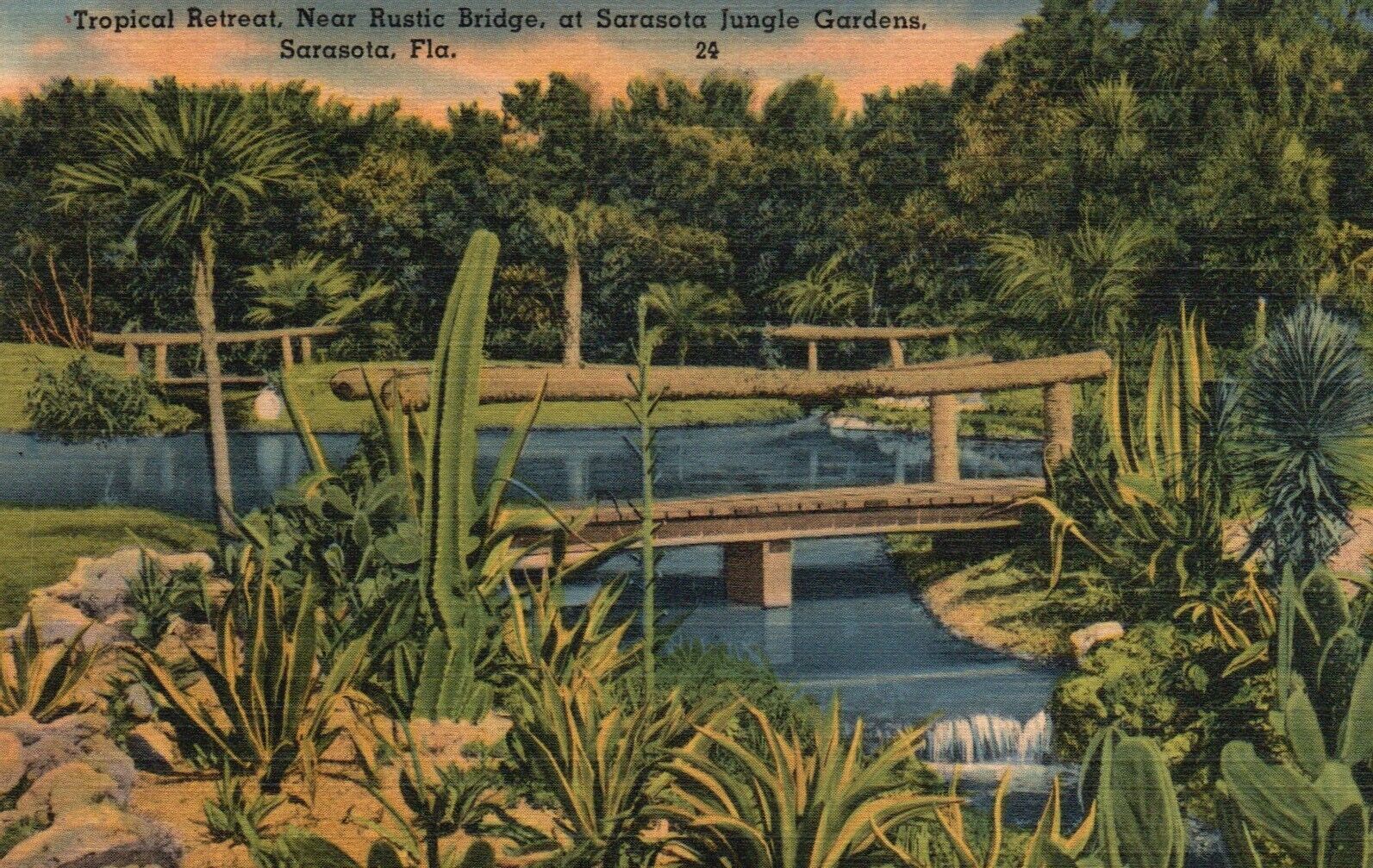 Postcard FL Sarasota Jungle Gardens Rustic Bridge Linen Vintage PC H1654