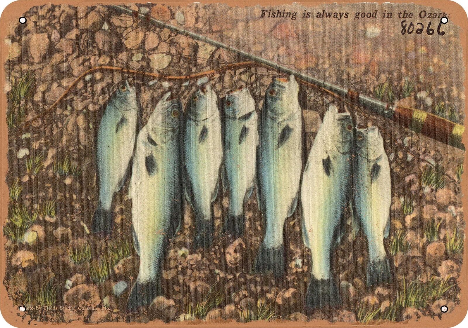 Metal Sign - Missouri Postcard - Fishing is always good in the Ozarks