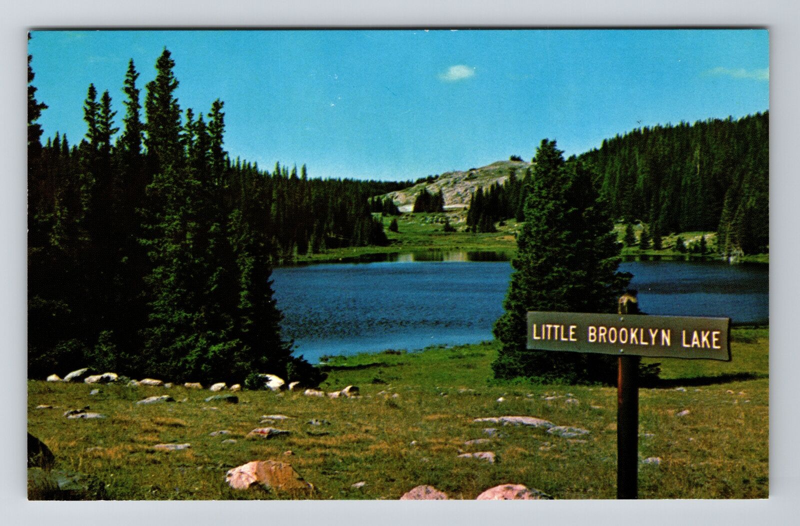 WY-Wyoming, Little Brooklyn Lake, National Forest, Vintage Postcard