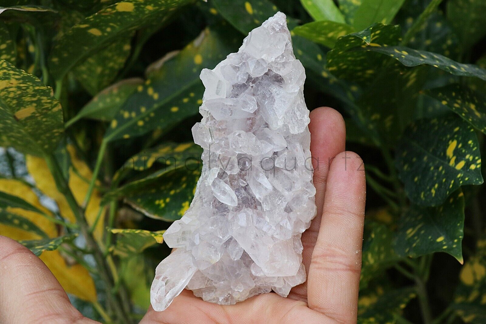 160 gm Find White Samadhi Quartz Crystal Cluster Mineral Specimen Healing